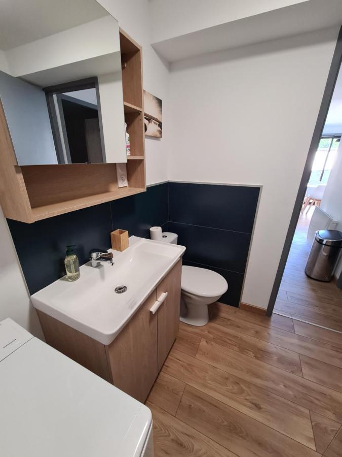 Appartement Le Cosy 3 Etoiles サイヤグーズ エクステリア 写真