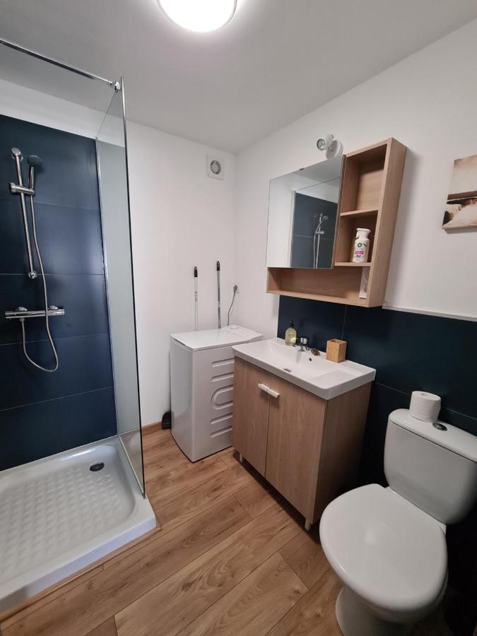 Appartement Le Cosy 3 Etoiles サイヤグーズ エクステリア 写真